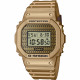 Pánske hodinky_Casio DWE-5600HG-1ER_Dom hodín MAX